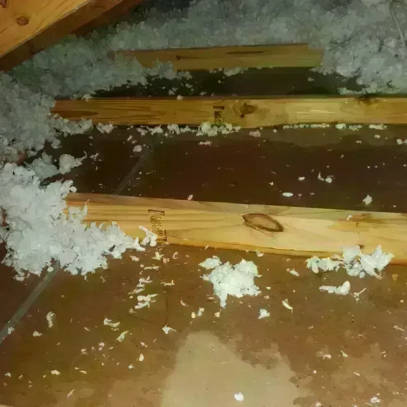 Attic Water Damage in Benton, IL