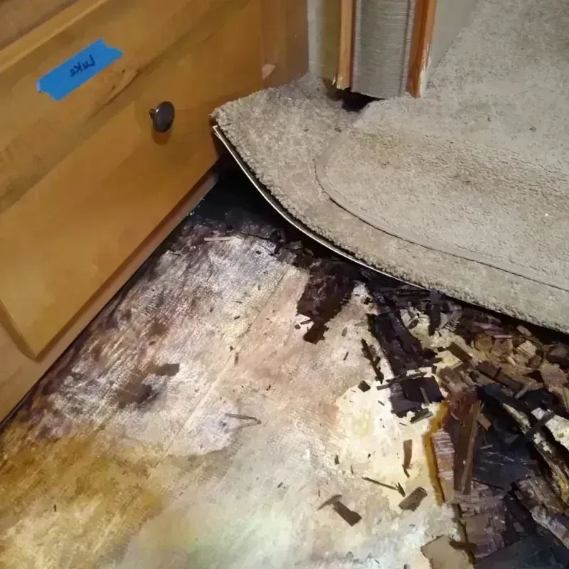 Wood Floor Water Damage in Benton, IL